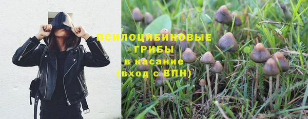 мяу мяу мука Алзамай