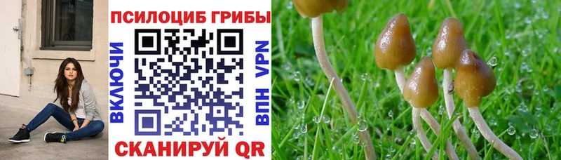 Псилоцибиновые грибы прущие грибы Яхрома